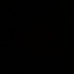 Meet your Posher, Celina