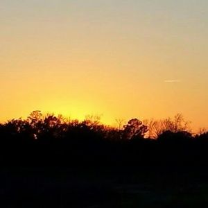 Meet your Posher, Elaine