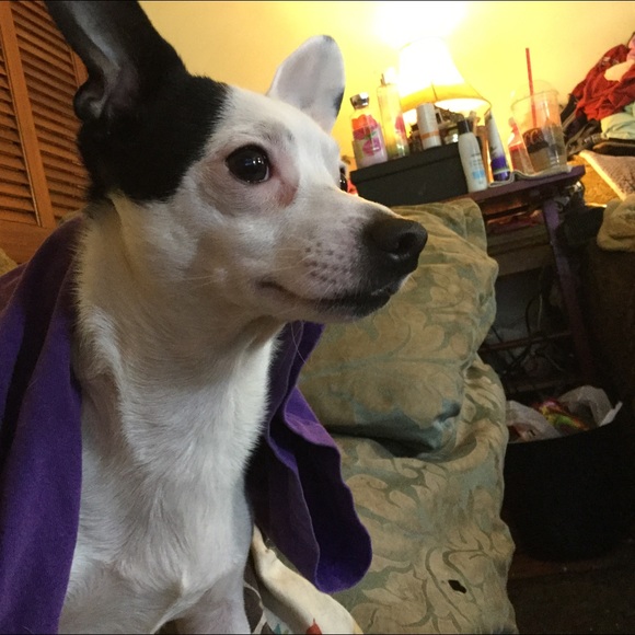 Meet your Posher, Rachel