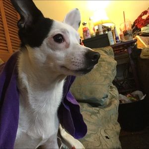 Meet your Posher, Rachel