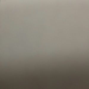 Meet your Posher, Brendalee