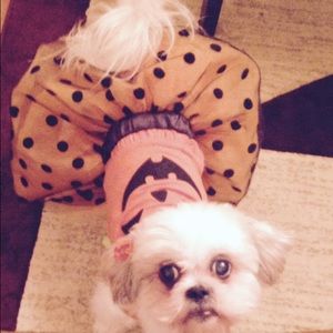 Meet your Posher, Phyllis