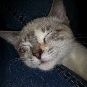 Meet your Posher, Amber