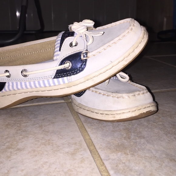 Angelfish Sperrys