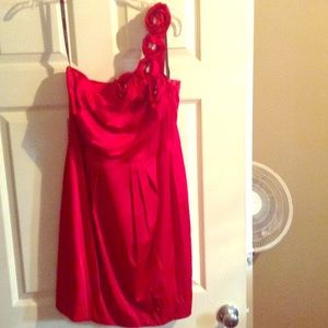 Beautiful Christmas Dress