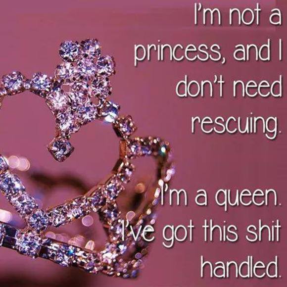 Meet your Posher, Ruby - Picture 1 of 1