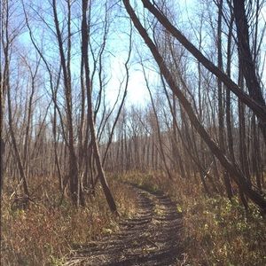 Meet your Posher, Hunter