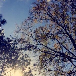 Meet your Posher, Gwen