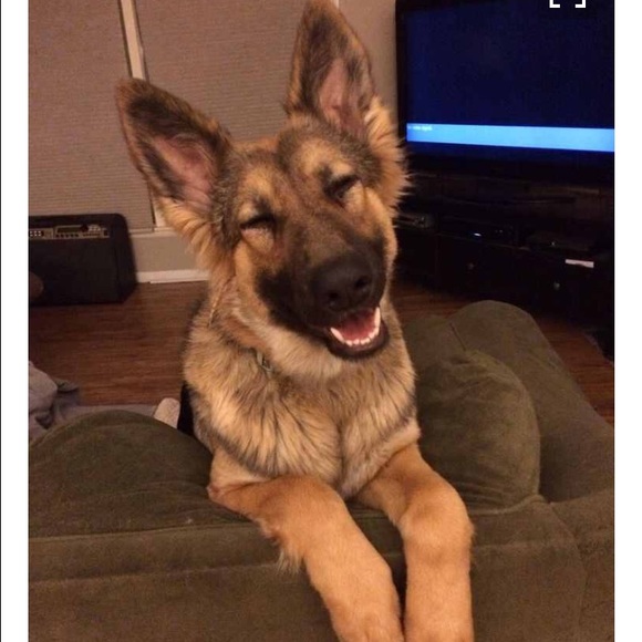 Meet your Posher, Nickol