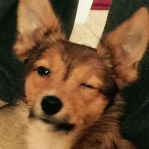 Meet your Posher, Patricia