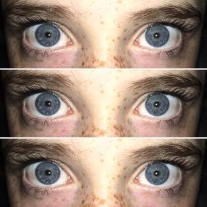 Meet your Posher, Annie