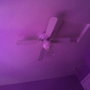 Meet your Posher, Destiny