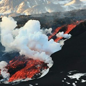 Meet your Posher, Tanea