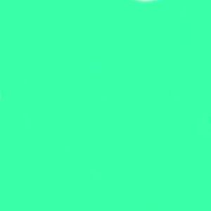 Meet your Posher, Clarissa