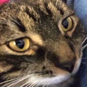 Meet your Posher, Rita