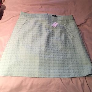 Sale! NWT limited sea foam green skirt!