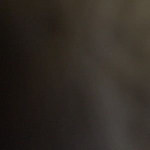 Meet your Posher, Ava