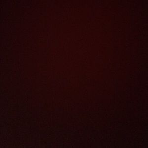 Meet your Posher, Ariana