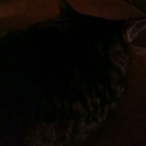 Meet your Posher, Faye