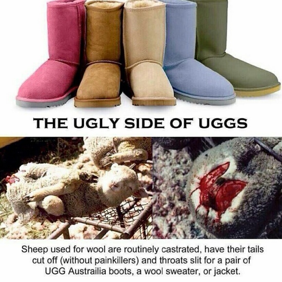 PLEASE DONT BUY UGGs ! - Picture 2 of 4
