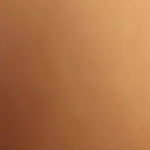 Meet your Posher, Alanna