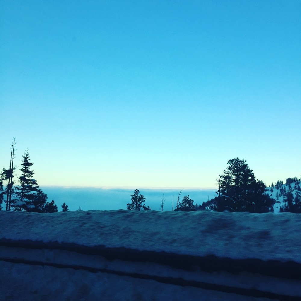 Meet your Posher, Ava