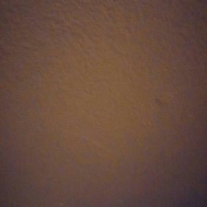 Meet your Posher, Tabitha