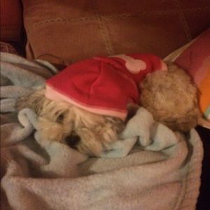 Meet your Posher, Lorena