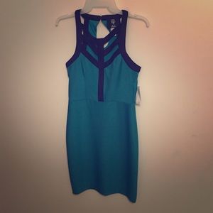 Cute bodicon dress! Never worn.