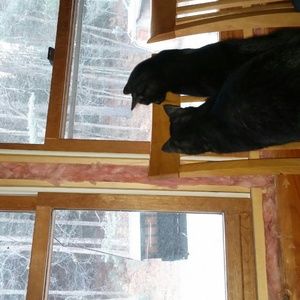 Meet your Posher, Donna