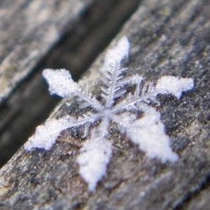 Meet your Posher, Dajana