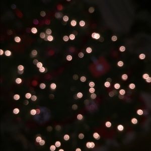 Meet your Posher, Zoe