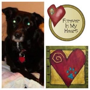 Meet your Posher, Chelsea