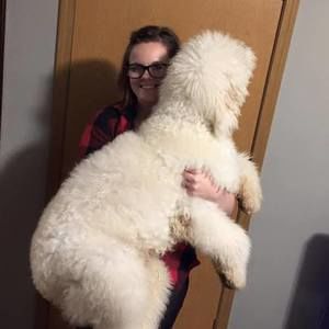 Meet your Posher, Jaci