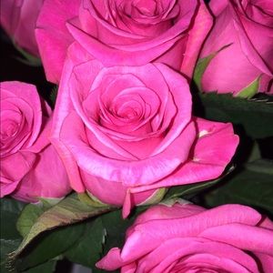 Meet your Posher, Julie