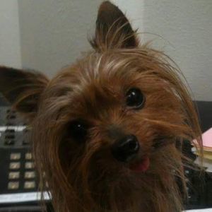 Meet your Posher, Sheila