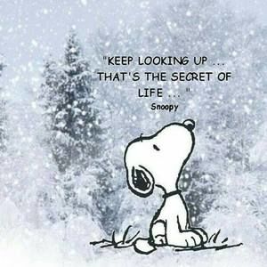 Meet your Posher, Vicky