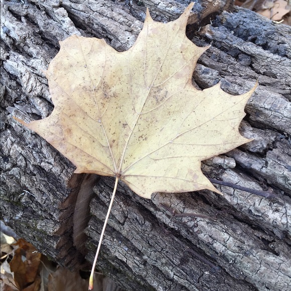 Meet your Posher, Erin - Picture 1 of 1