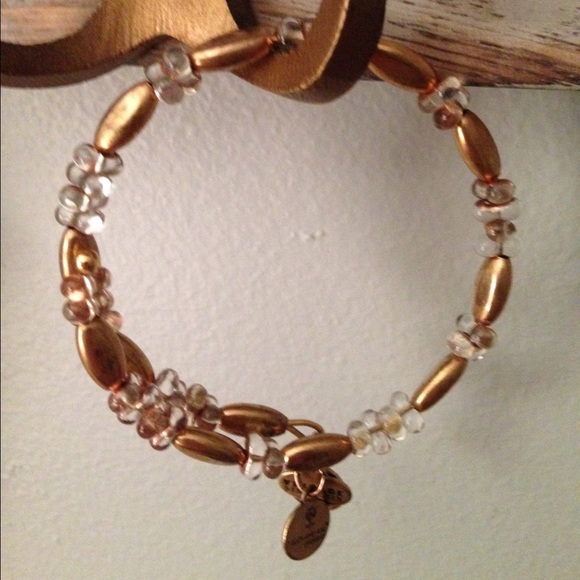Alex and Ani wrap bracelet