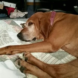 Meet your Posher, Jackie