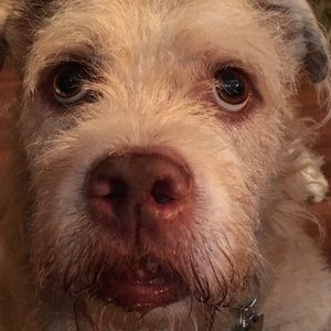 Meet your Posher, Ali