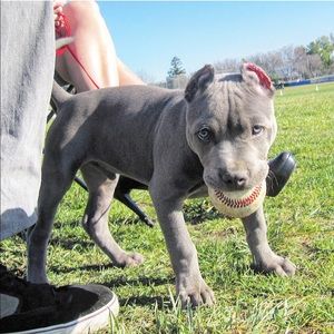 Meet your Posher, Kristina