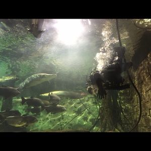 Meet your Posher, Maria