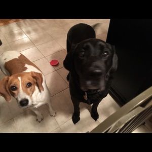 Meet your Posher, Timaree