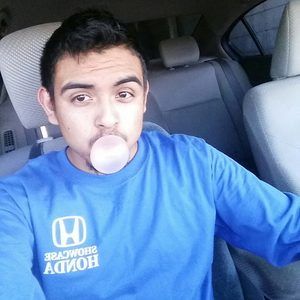 Meet your Posher, Ozzy