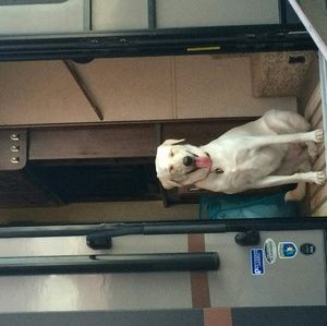 Meet your Posher, Brittany