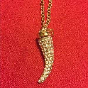Horn long necklace