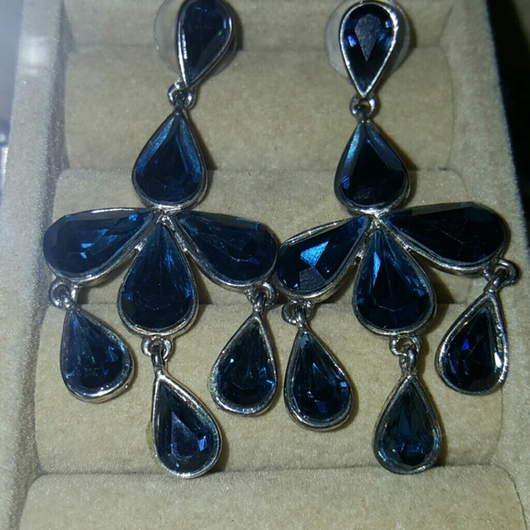 Stunning blue dangle earrings