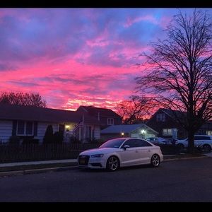 Meet your Posher, Abigail