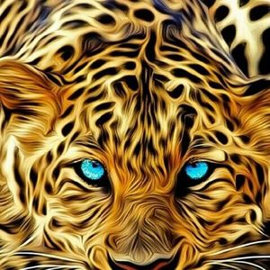 Meet your Posher, Deonne